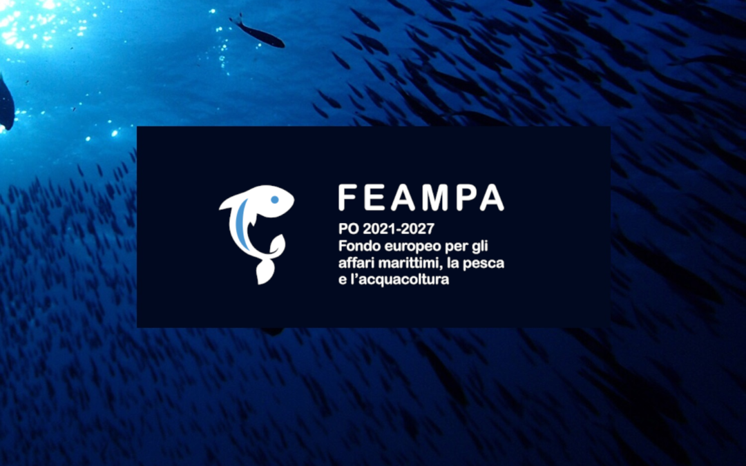 Fondo Europeo Affari Marittimi Pesca e Acquacoltura (FEAMPA)