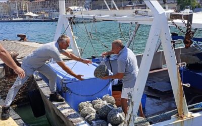 Festa del Mare “Ancona 2024”