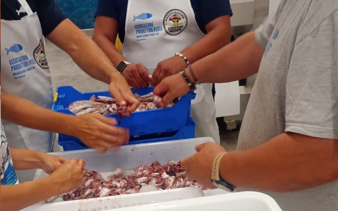 Festa del Mare 2025: Una giornata speciale di pesca per celebrare il mare e i suoi sapori!