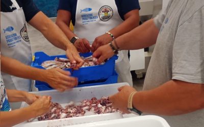 Festa del Mare 2025: Una giornata speciale di pesca per celebrare il mare e i suoi sapori!