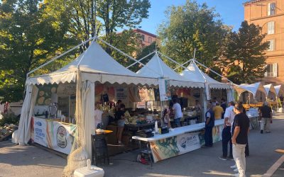 Festa del Mare 2025: Il Trionfo della Tradizione Gastronomica Anconetana e la Promozione del Pescato Locale
