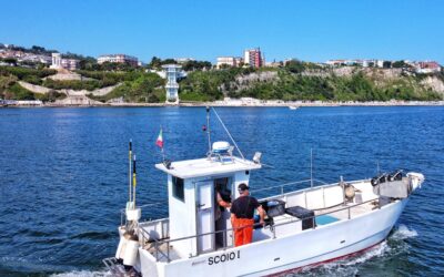 Ancona valorizza la Pescaturismo: un ponte tra pescatori, territorio e comunità