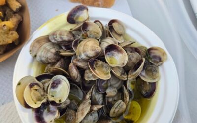 Festa del Mare 2026, grande successo per gli stand gastronomici del Co.Ge.Vo. Ancona